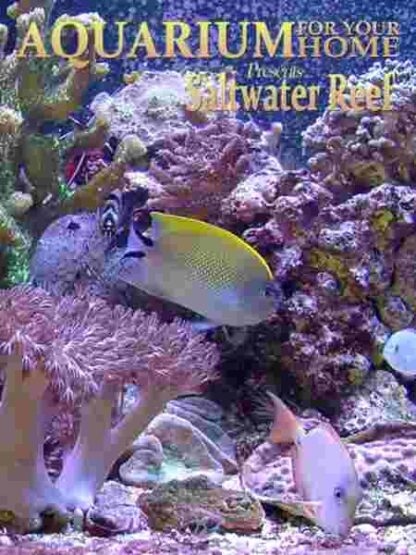 Aquarium for Your Home: Saltwater Reef (2008) Starring  on DVD