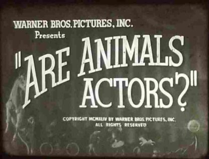 Are Animals Actors? (1945) Starring Knox Manning on DVD - Image 2