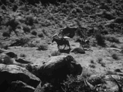 Arizona Days (1937) Starring Tex Ritter on DVD - Image 4