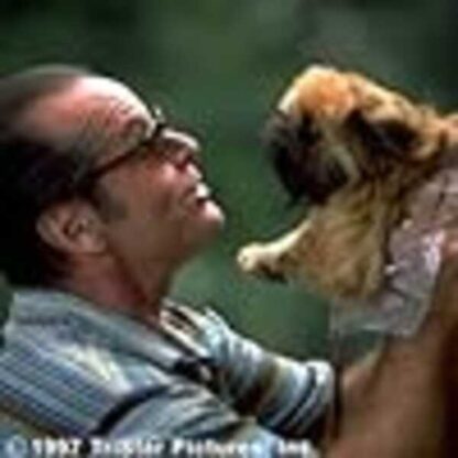 As Good as It Gets (1997) Starring Jack Nicholson on DVD - Image 3