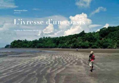Ashes of Dreams (2011) with English Subtitles on DVD