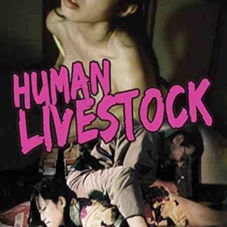 Asobizuma: Hirusagari no kairaku (1999) with English Subtitles on DVD
