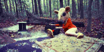 Asylum Seekers (2009) Starring Pepper Binkley on DVD - Image 4