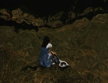 Au bord du lac (1994) with English Subtitles on DVD - Image 2