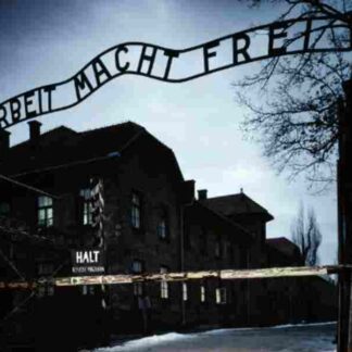 Auschwitz: Inside the Nazi State (2005) Starring Linda Hunt on DVD