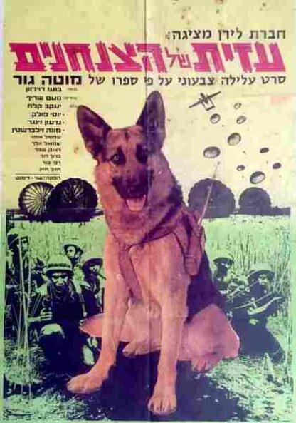 Azit Hakalba Hatzanhanit (1972) with English Subtitles on DVD - Image 2