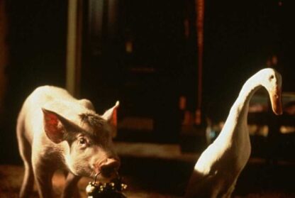 Babe (1995) Starring James Cromwell on DVD - Image 2