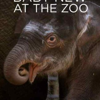 Baby New at the Zoo (2007) Starring  on DVD