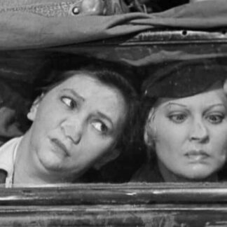 Backs to Nature (1933) Starring Thelma Todd on DVD