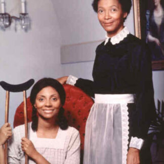 Backstairs at the White House (TV Series 1979–1979) (1979) Starring Leslie Uggams on DVD