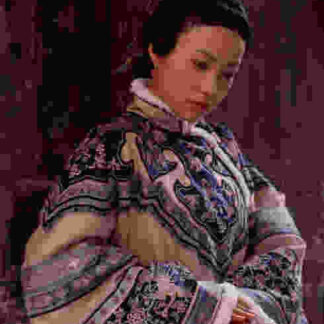 Bai yin di guo (2009) with English Subtitles on DVD