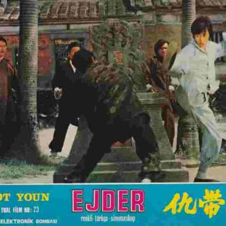 Bamboo Brotherhood (1974) with English Subtitles on DVD