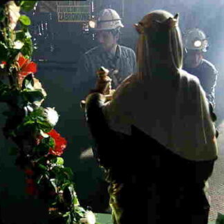 Barbórka (2005) with English Subtitles on DVD