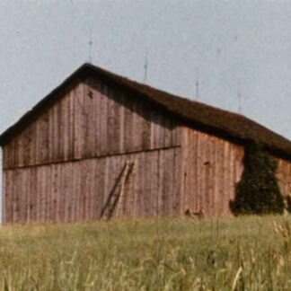 Barn Rushes (1971) Starring  on DVD