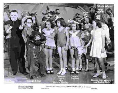 Barnyard Follies (1940) Starring Mary Lee on DVD - Image 3