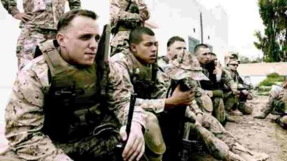 Battle for Haditha (2007) Starring Matthew Knoll on DVD - Image 2