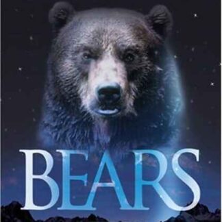 Bears (2004) Starring  on DVD