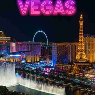 Beating Vegas (2004) Starring Tony Sano on DVD