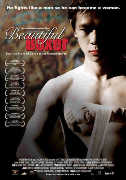 Beautiful Boxer (2003) with English Subtitles on DVD