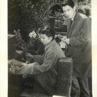 Beautiful Days (1955) with English Subtitles on DVD