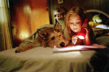 Because of Winn-Dixie (2005) Starring AnnaSophia Robb on DVD - Image 3