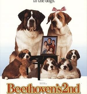 Beethoven's 2nd (1993) DVD