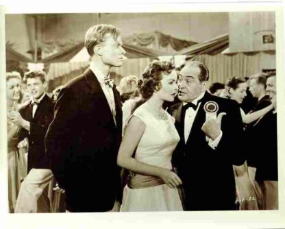 Belles on Their Toes (1952) Starring Jeanne Crain on DVD - Image 2