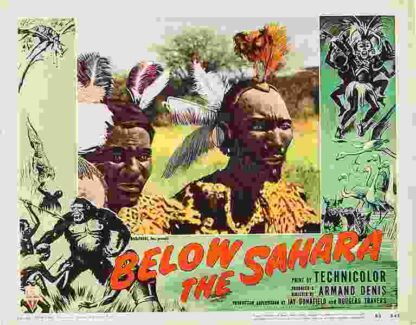 Below the Sahara (1953) Starring Armand Denis on DVD - Image 2