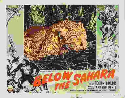 Below the Sahara (1953) Starring Armand Denis on DVD - Image 3