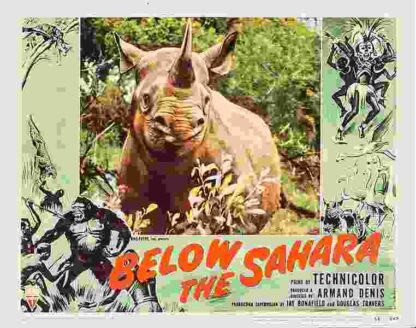 Below the Sahara (1953) Starring Armand Denis on DVD - Image 4