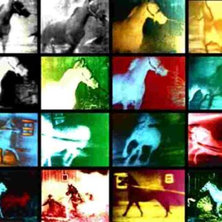 Berlin Horse (1970) with English Subtitles on DVD