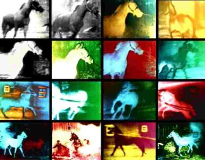 Berlin Horse (1970) with English Subtitles on DVD