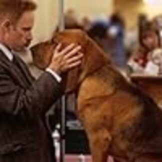 Best in Show (2000) Starring Jay Brazeau on DVD