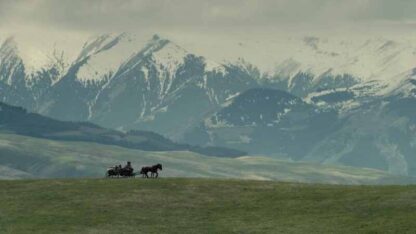 Beyond the Steppes (2010) with English Subtitles on DVD - Image 2