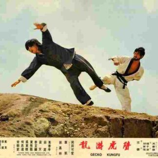 Bi hu you long (1972) with English Subtitles on DVD