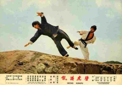 Bi hu you long (1972) with English Subtitles on DVD