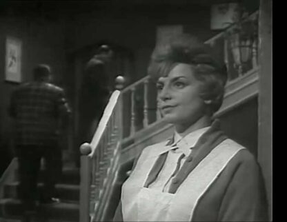 Biedermann und die Brandstifter (1963) with English Subtitles on DVD