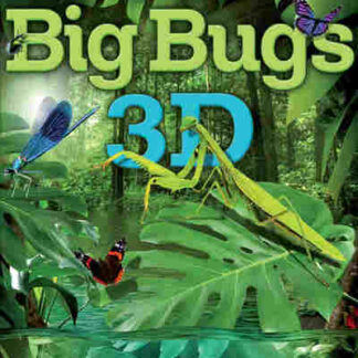 Big Bugs - Kleine Krabbler ganz groß (TV Episode 2012) (2012) with English Subtitles on DVD