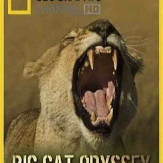 Big Cat Odyssey (2010) Starring  on DVD