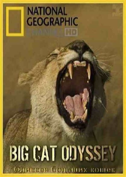 Big Cat Odyssey (2010) Starring  on DVD