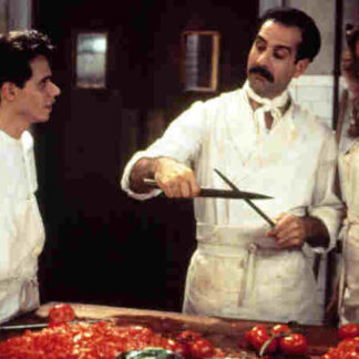 Big Night (1996) Starring Tony Shalhoub on DVD