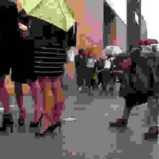 Bill Cunningham: New York (2010) Starring Bill Cunningham on DVD