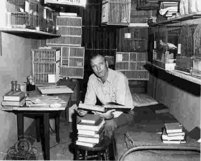 Birdman of Alcatraz (1962) Starring Burt Lancaster on DVD - Image 3