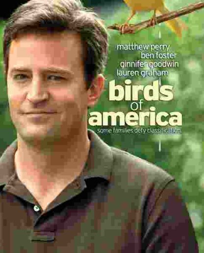 Birds of America (2008) Starring Matthew Perry on DVD
