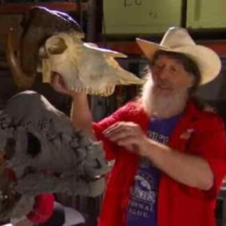 Bizarre Dinosaurs (2009) Starring Jack Horner on DVD