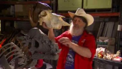 Bizarre Dinosaurs (2009) Starring Jack Horner on DVD