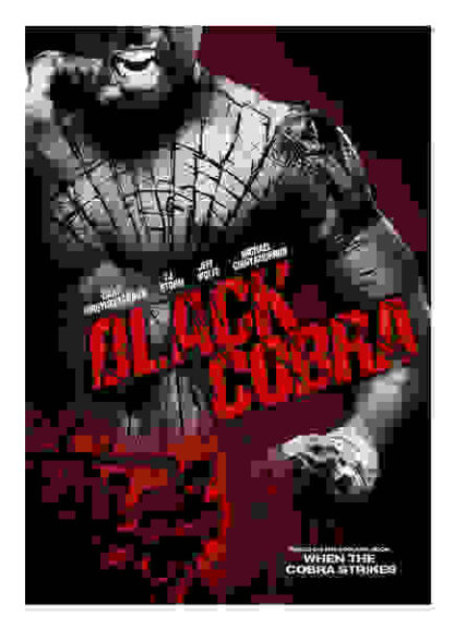 Black Cobra (2012) Starring Cary-Hiroyuki Tagawa on DVD - Image 5