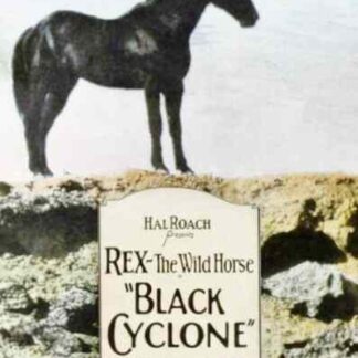 Black Cyclone (1925) with English Subtitles on DVD