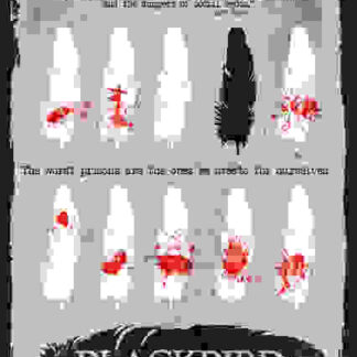 Blackbird (2012) Starring Connor Jessup on DVD