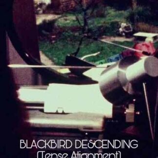 Blackbird Descending (1977) Starring  on DVD